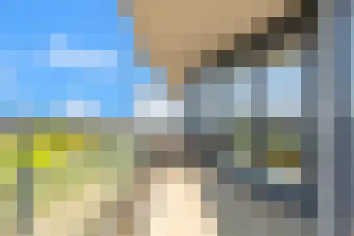 Begijnenweide 84 Heemskerk thumbnail 6