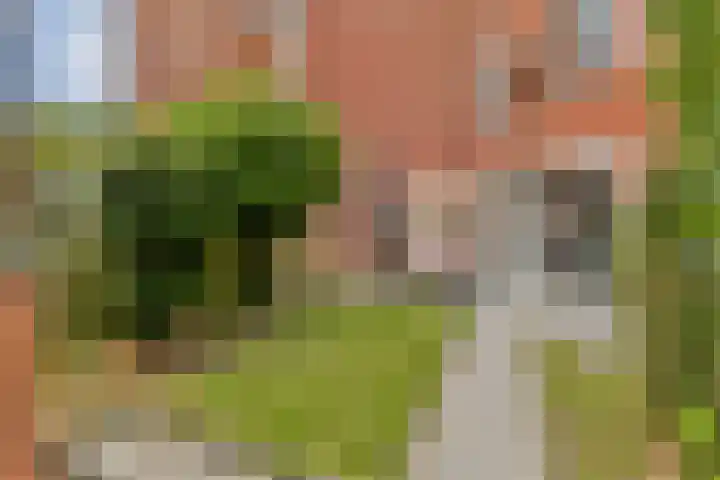 Begijnepolderweg 6 Weesp thumbnail 14