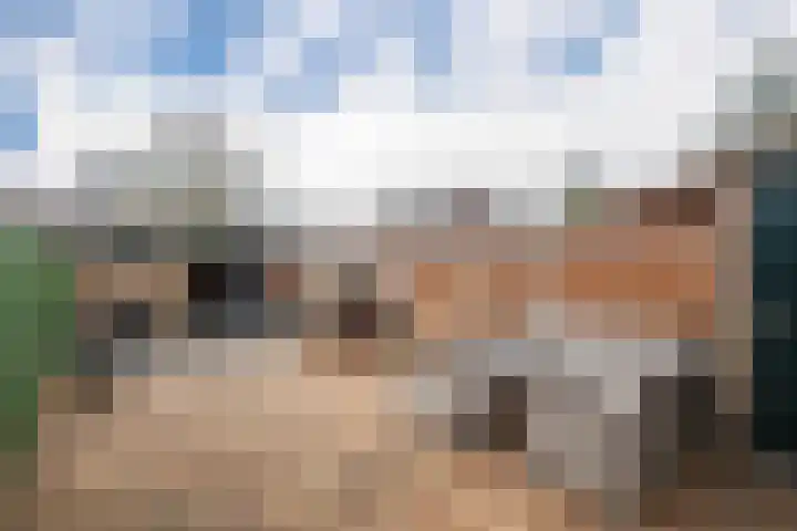 Begijneslag 18 Westervoort thumbnail 18