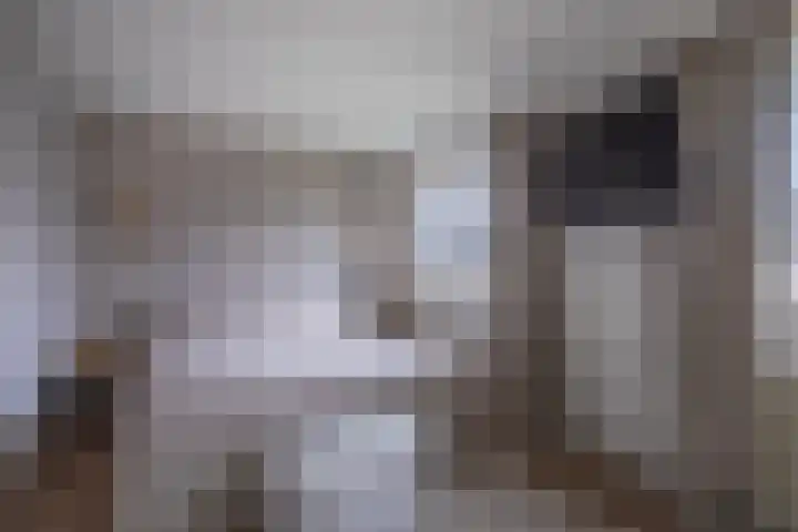 Begijneslag 18 Westervoort thumbnail 30
