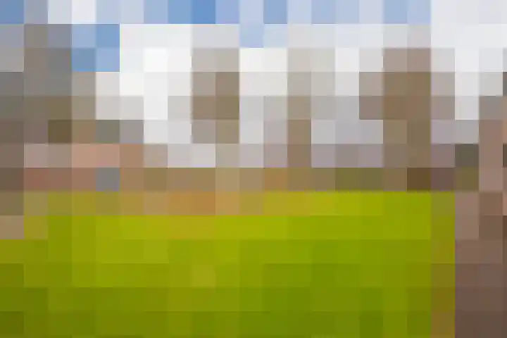 Begijneslag 18 Westervoort thumbnail 37