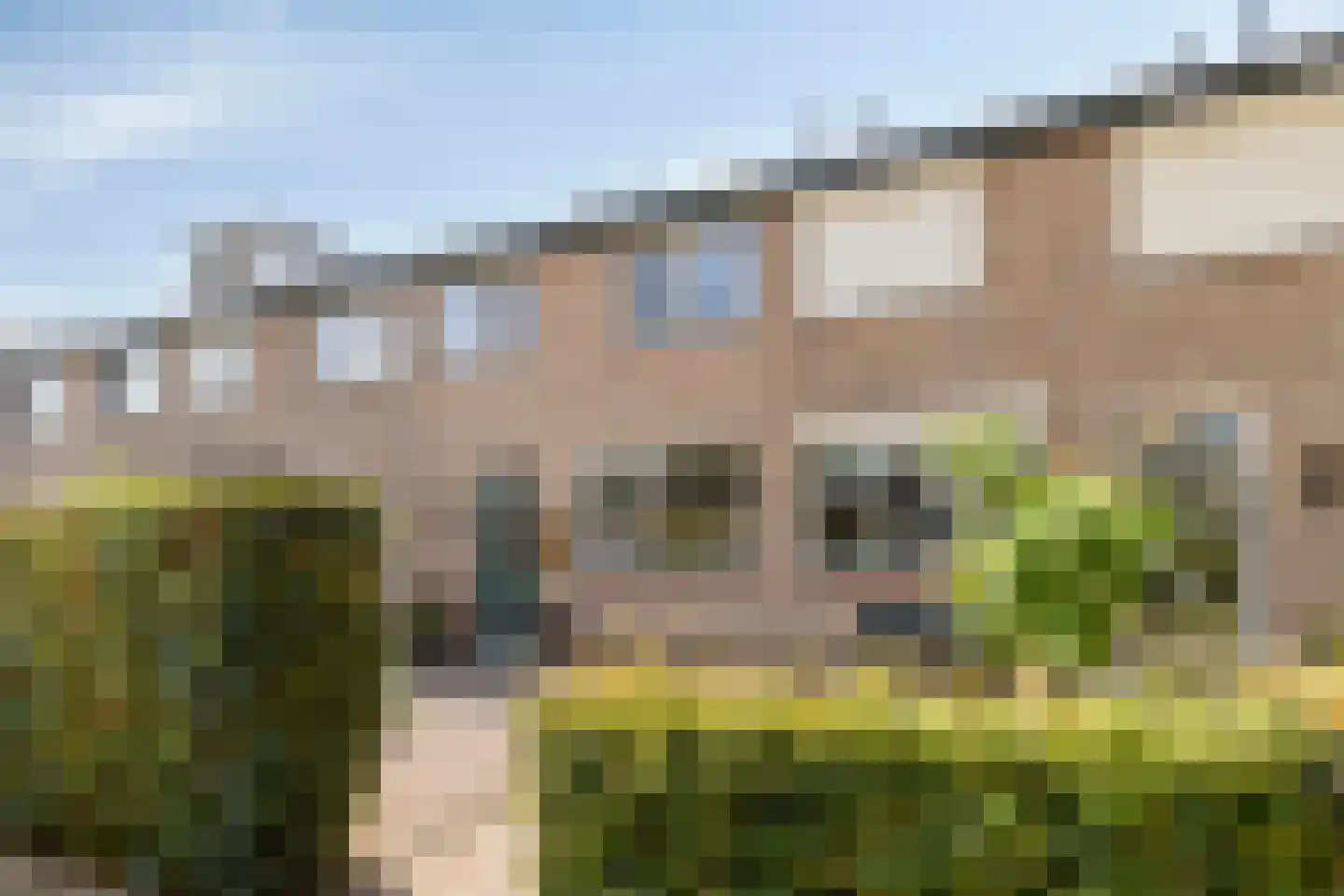 Begijneslag 60 in Westervoort
