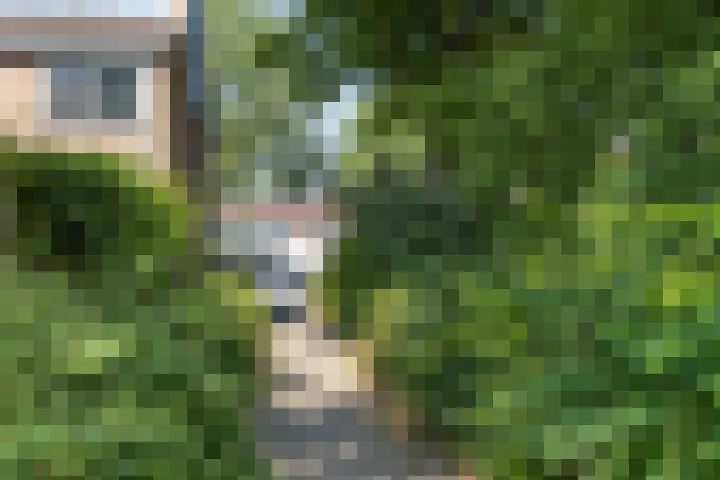 Begijneslag 60 Westervoort thumbnail 35