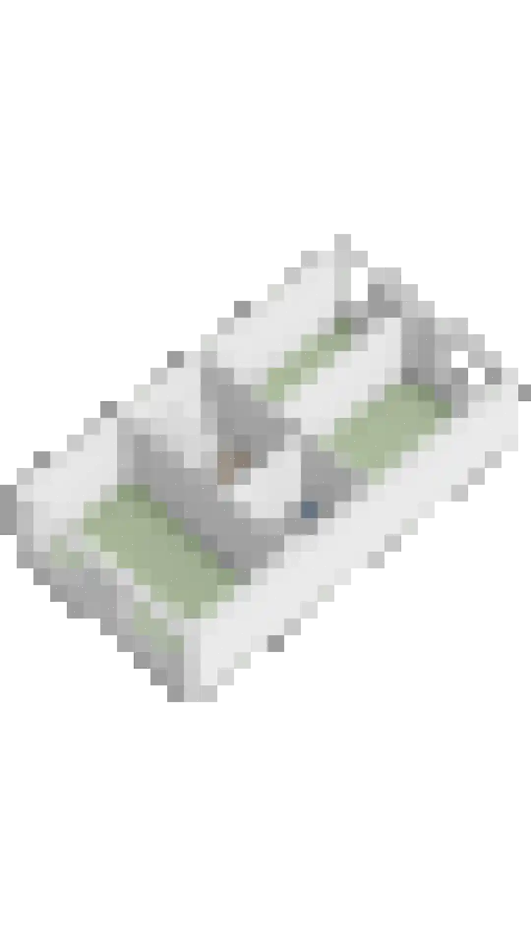 Begijneslag 60 Westervoort thumbnail 40