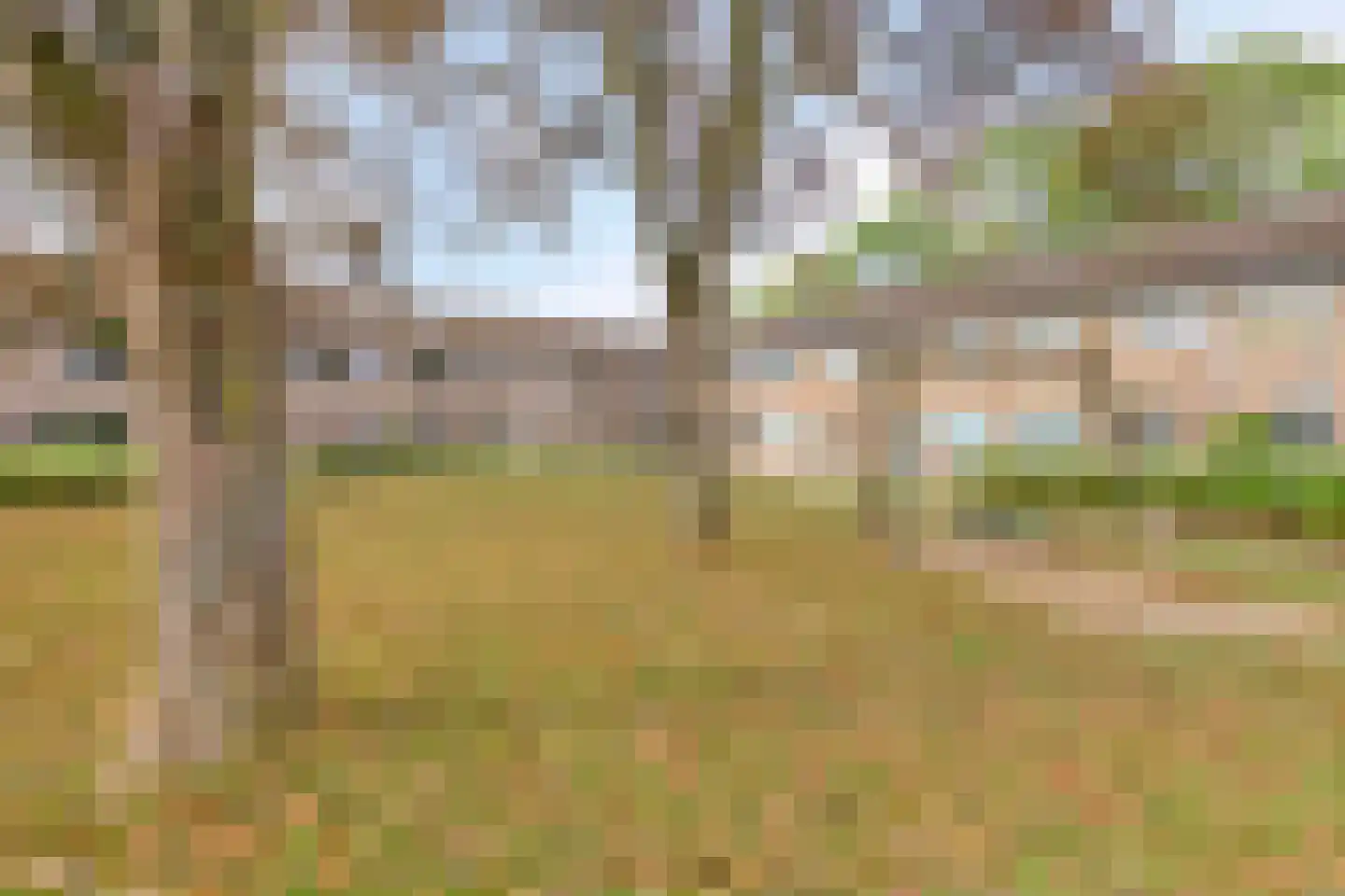 Begijneslag 74 Westervoort thumbnail 32