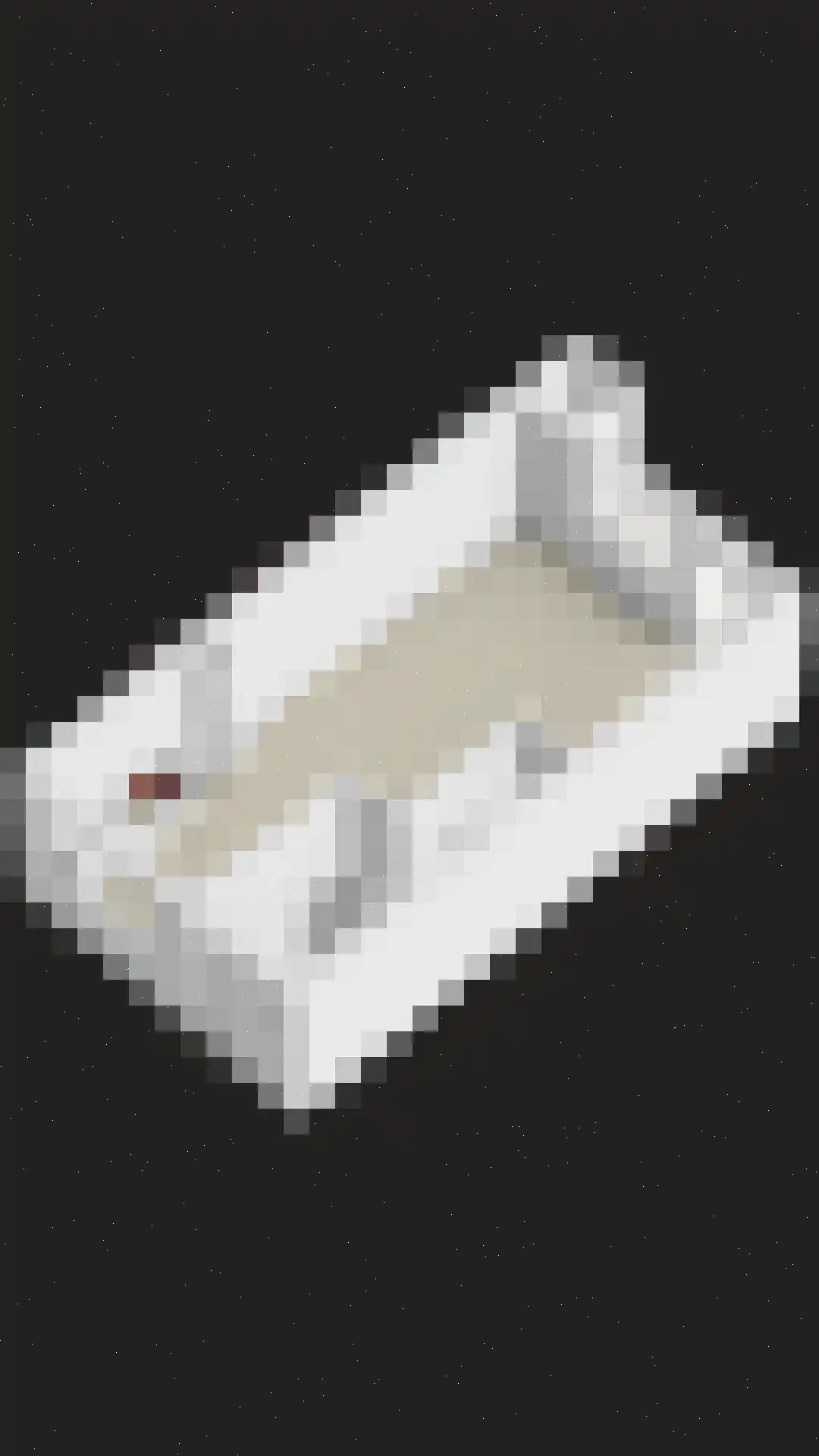 Begijneslag 74 Westervoort thumbnail 34