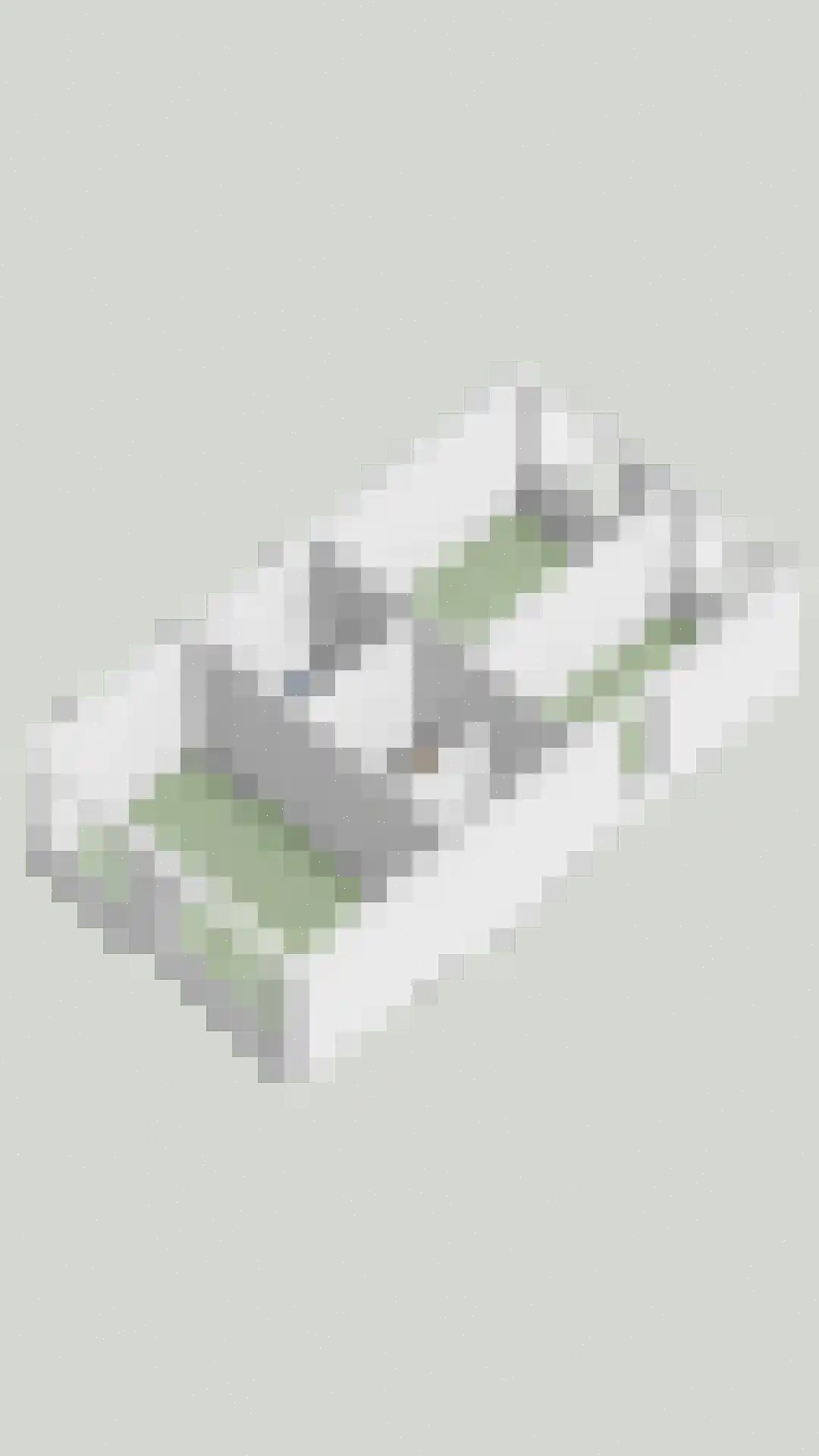 Begijneslag 74 Westervoort thumbnail 36