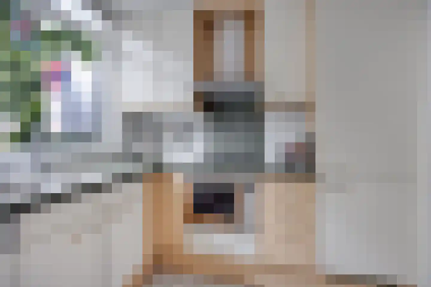 Begijnhof 3 Leiderdorp thumbnail 13