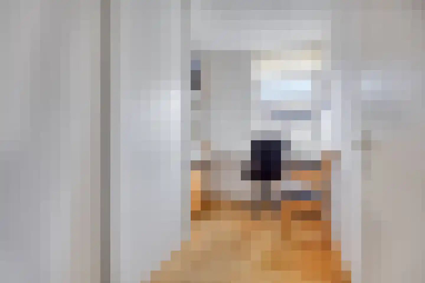 Begijnhof 3 Leiderdorp thumbnail 27