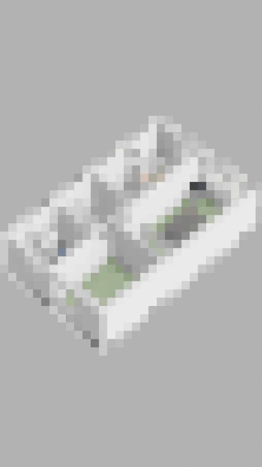 Begijnhof 3 Leiderdorp thumbnail 50