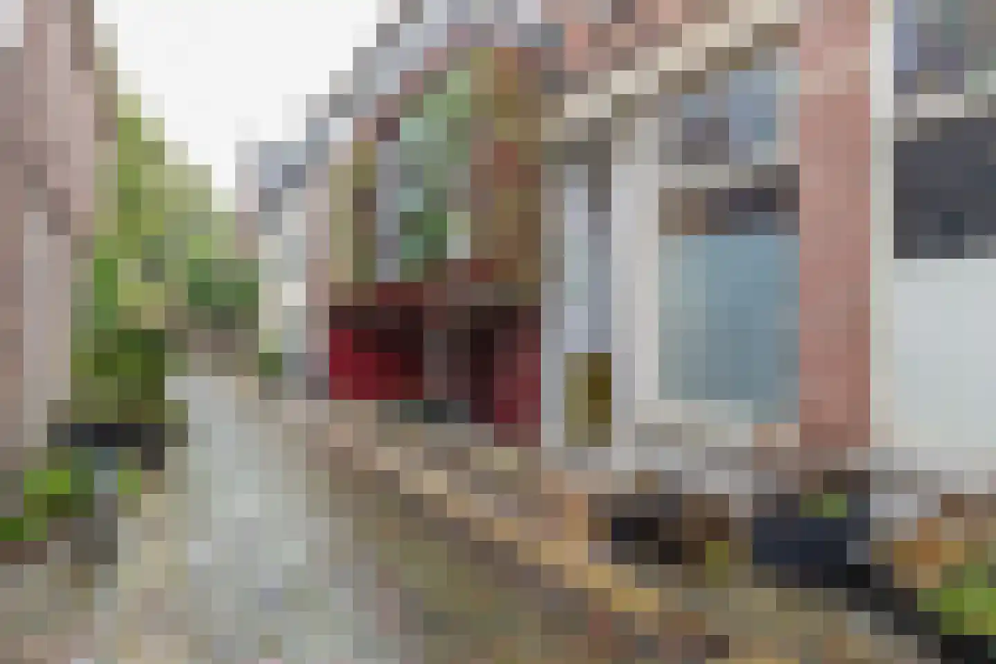 Begijnhof 4 B RD Haarlem thumbnail 31