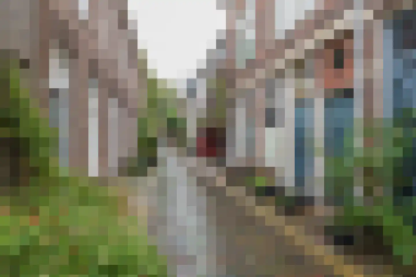 Begijnhof 4 B RD Haarlem thumbnail 32