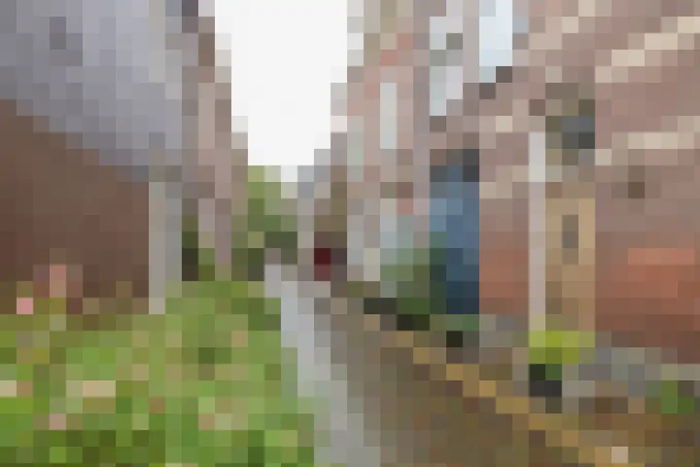 Begijnhof 4 B RD Haarlem thumbnail 34