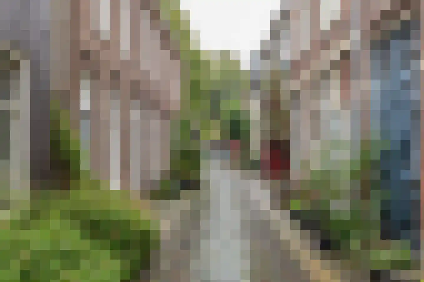 Begijnhof 4 B RD Haarlem thumbnail 36