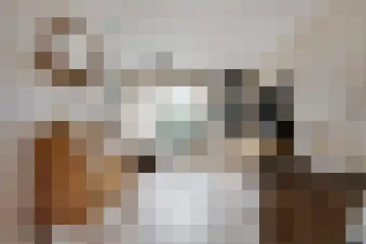 Begijnhof 6 Haarlem thumbnail 12