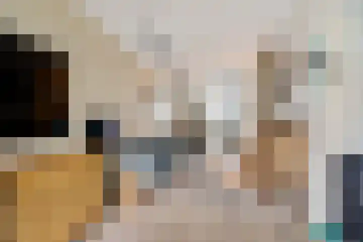 Begijnhof 6 Haarlem thumbnail 13