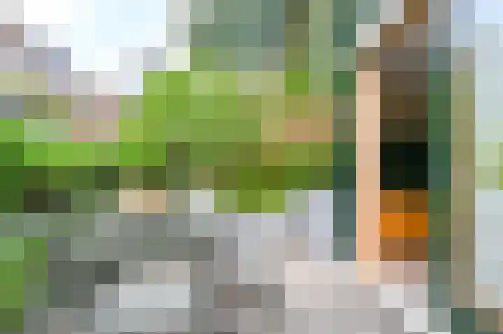 Begijnhof 6 Haarlem thumbnail 15