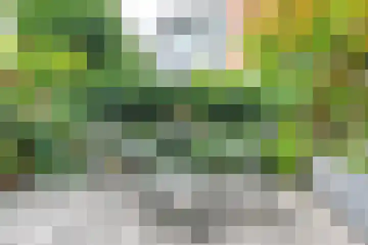 Begijnhof 6 Haarlem thumbnail 16