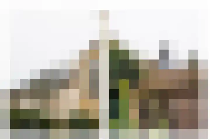 Begijnhof 6 Haarlem thumbnail 35