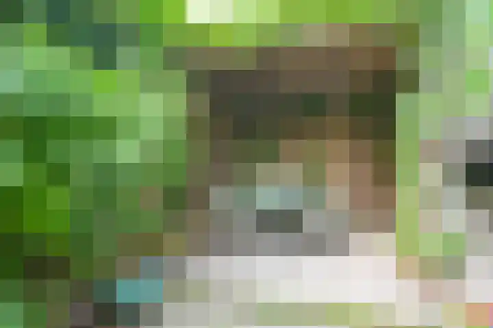 Begijnhof 6 Haarlem thumbnail 39