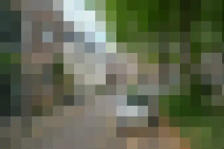 Begijnhof 6 Haarlem thumbnail 43