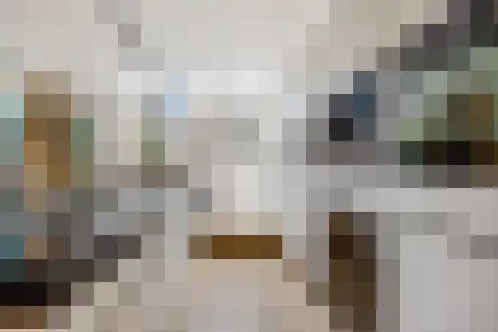 Begijnhof 6 Haarlem thumbnail 5