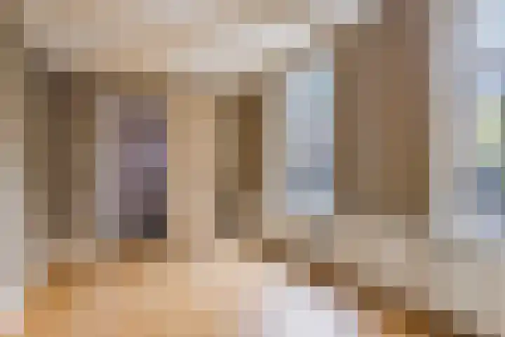 Begijnhof 76 Leiden thumbnail 23