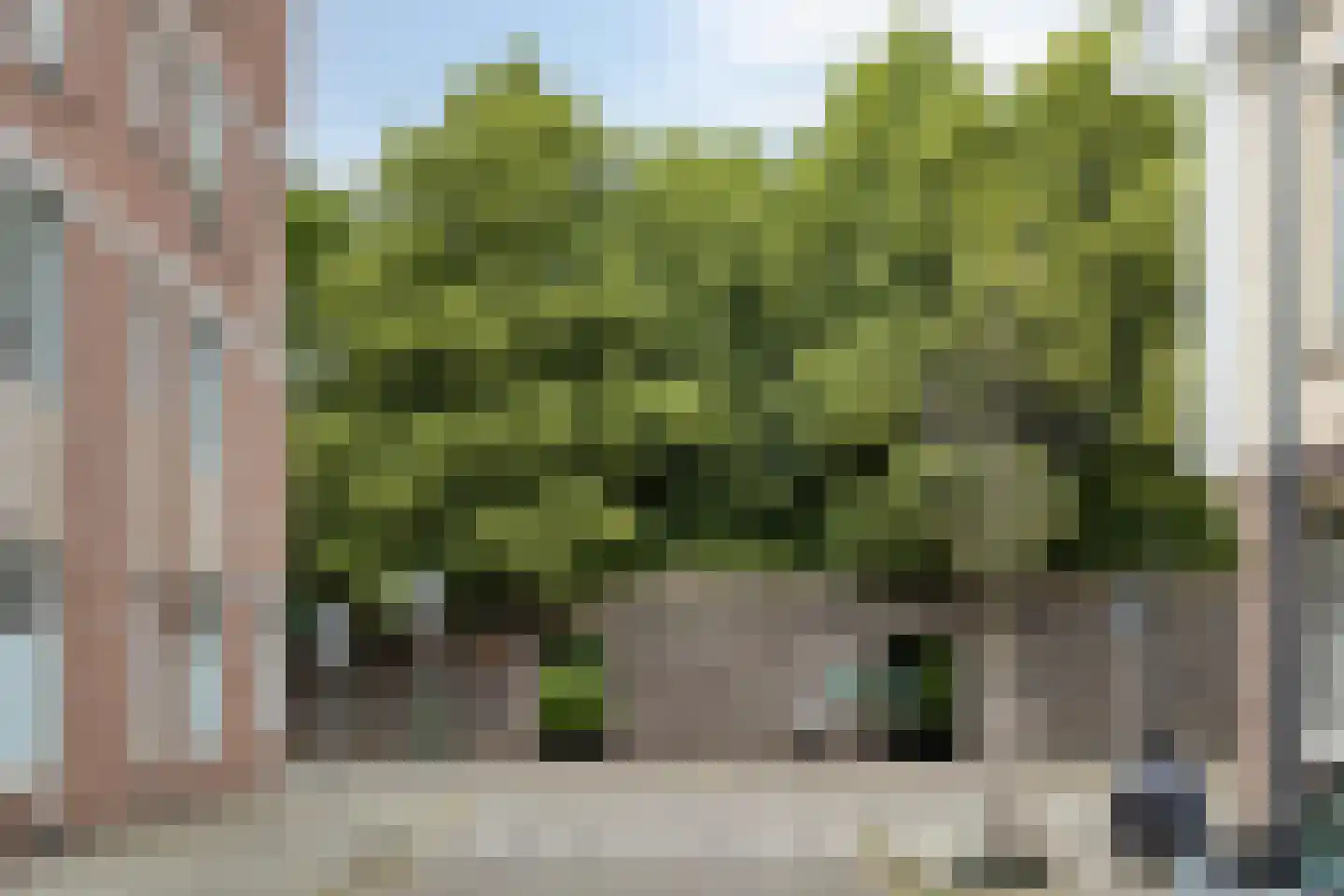Begijnhofstraat 18 D Roermond thumbnail 27