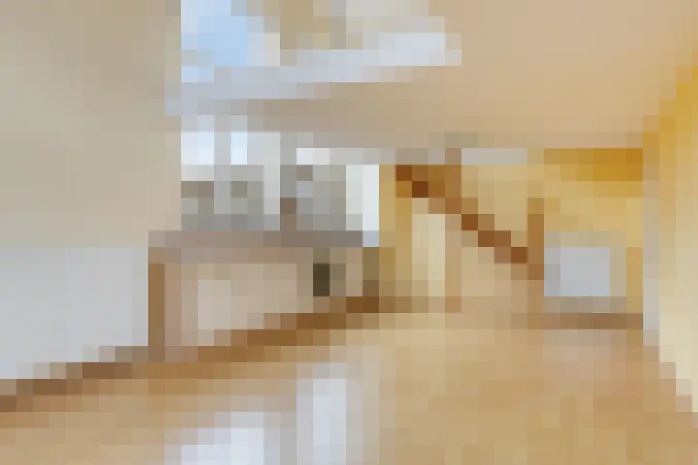 Begijnhofstraat 18 D Roermond thumbnail 7