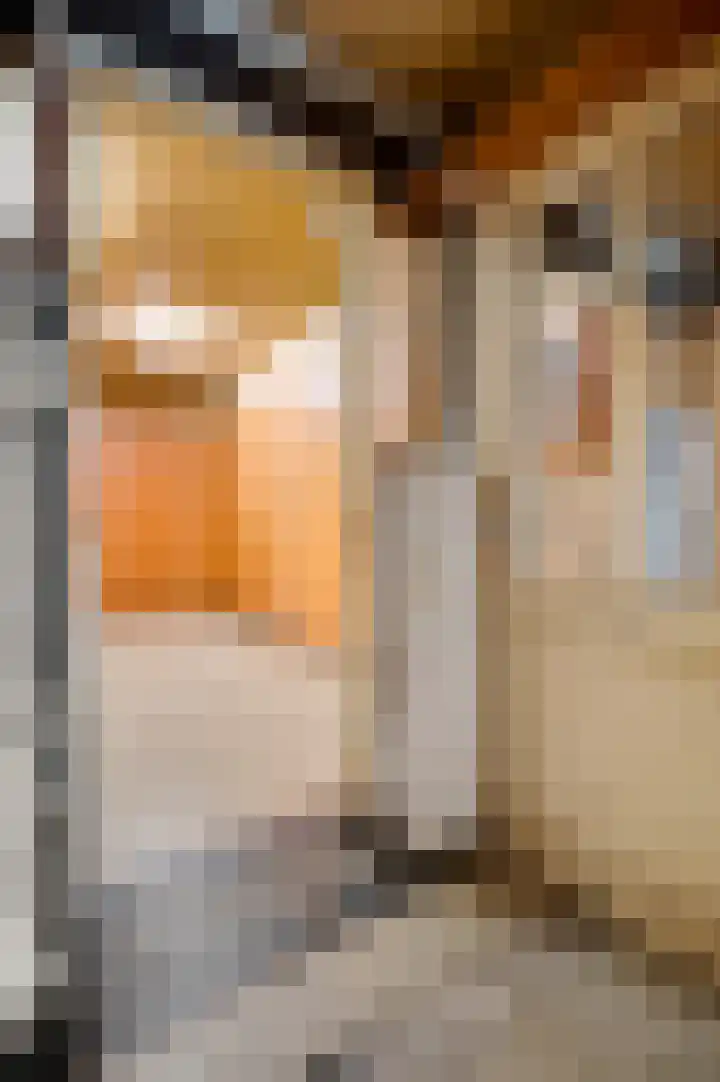 Begijnhofstraat 8 Roermond thumbnail 10