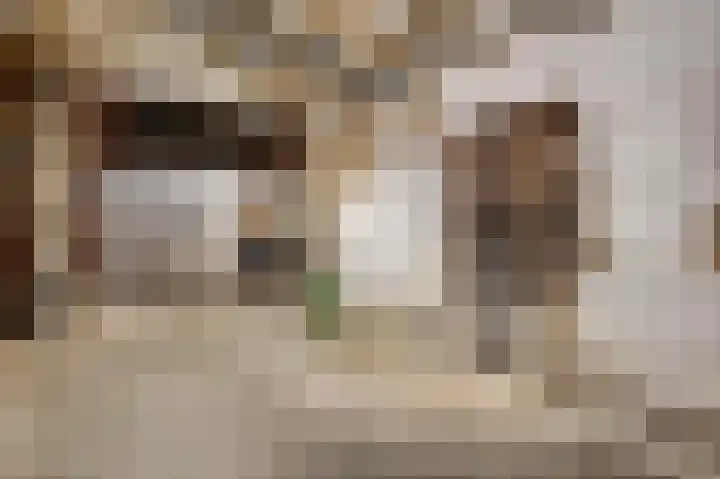 Begijnhofstraat 8 Roermond thumbnail 17
