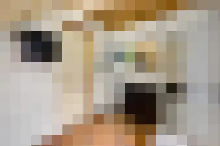 Begijnhofstraat 8 Roermond thumbnail 26