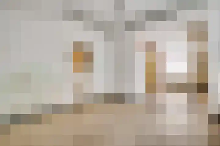 Begijnhofstraat 8 Roermond thumbnail 9