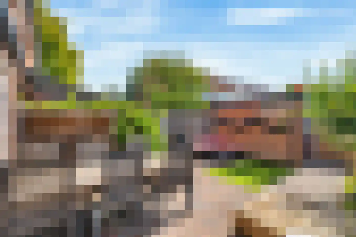Begijnhove 52 Leusden thumbnail 26