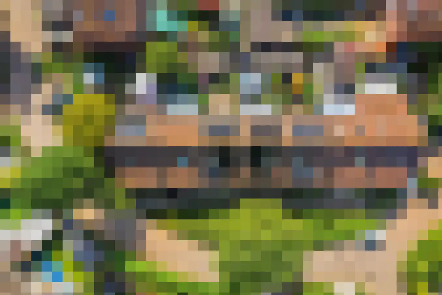 Begijnhove 52 Leusden thumbnail 31