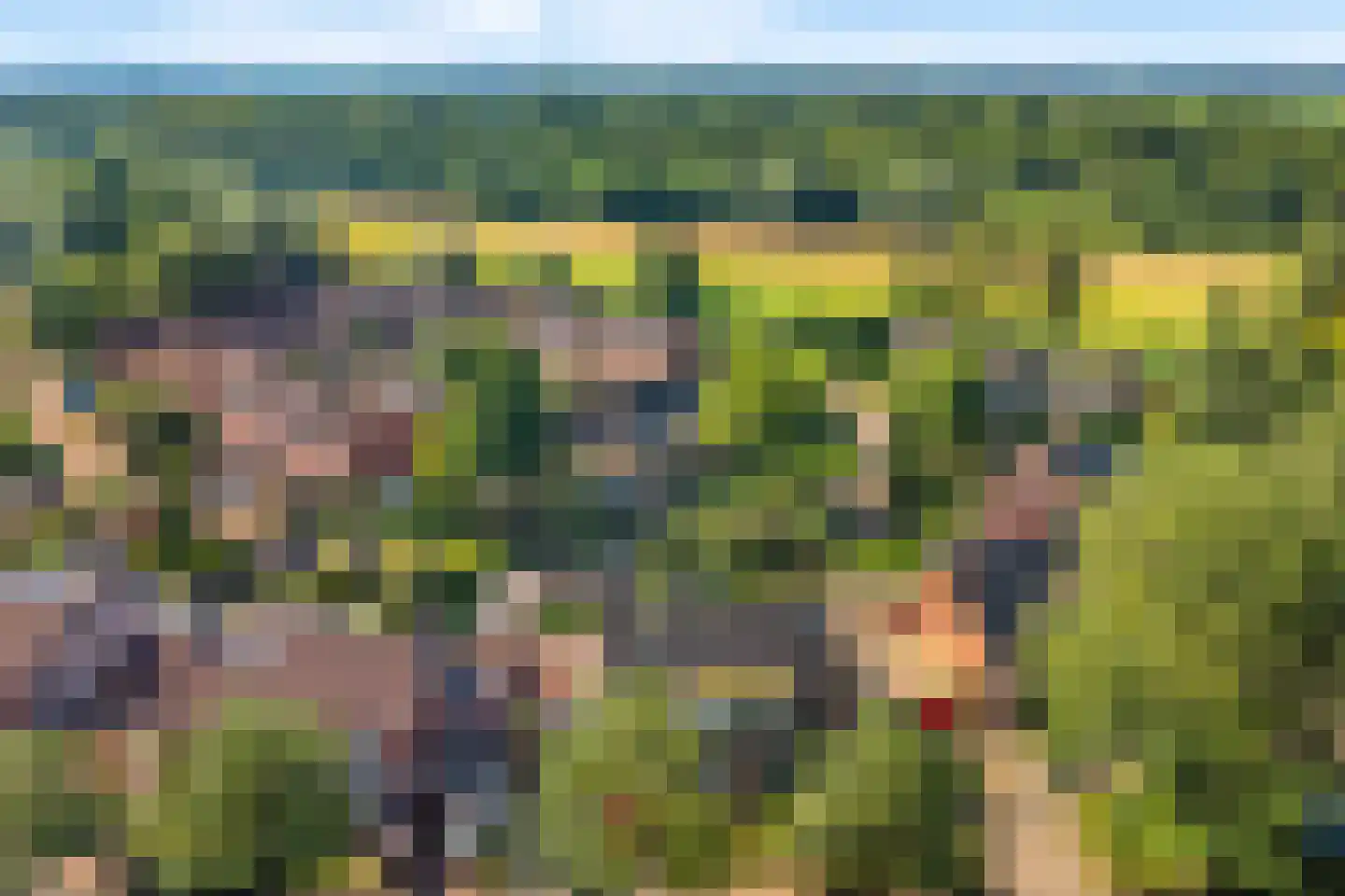Begijnhove 52 Leusden thumbnail 34