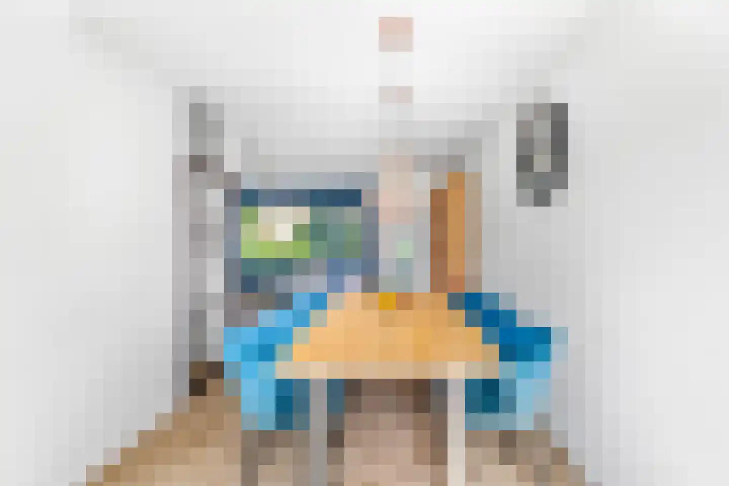 Begijnhove 52 Leusden thumbnail 8