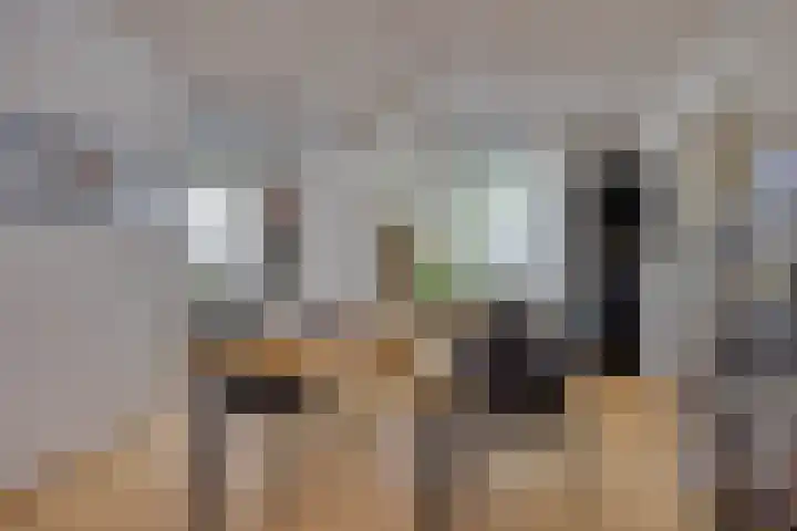 Begijnhove 7 Leusden thumbnail 11