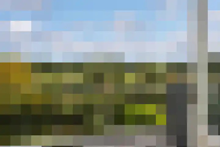 Begijnhove 7 Leusden thumbnail 15