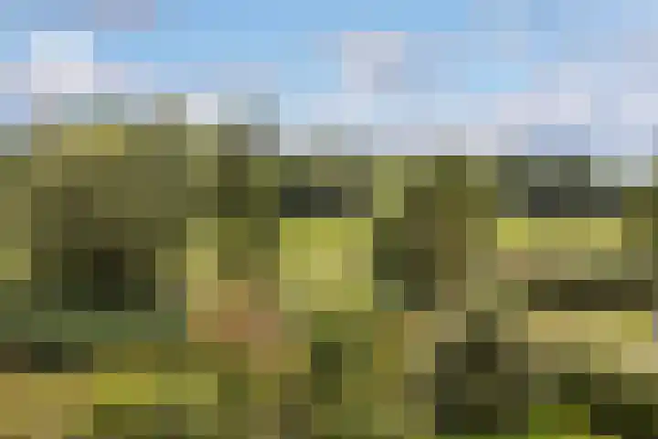 Begijnhove 7 Leusden thumbnail 16