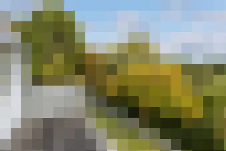 Begijnhove 7 Leusden thumbnail 17