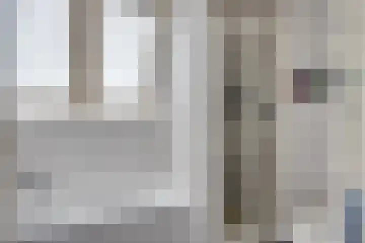 Begijnhove 7 Leusden thumbnail 19