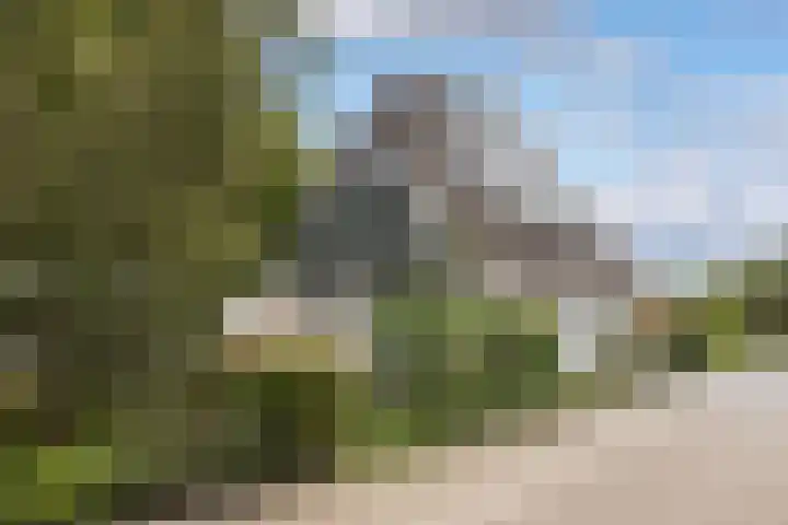 Begijnhove 7 Leusden foto 2