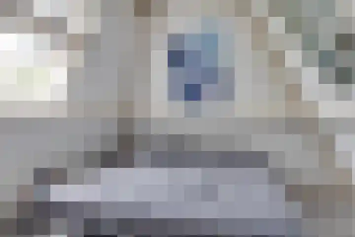 Begijnhove 7 Leusden thumbnail 25