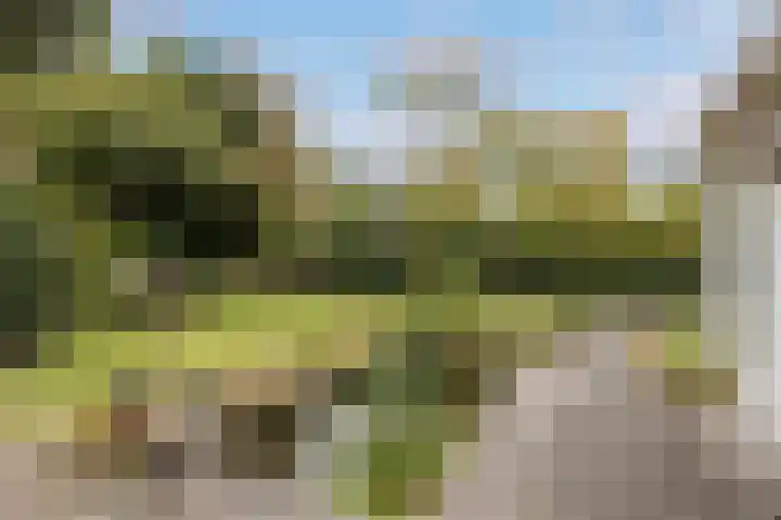 Begijnhove 7 Leusden thumbnail 26