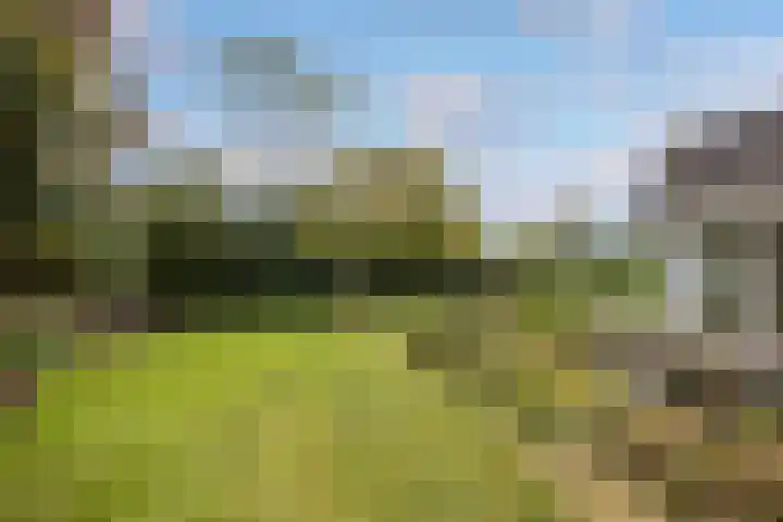 Begijnhove 7 Leusden thumbnail 27