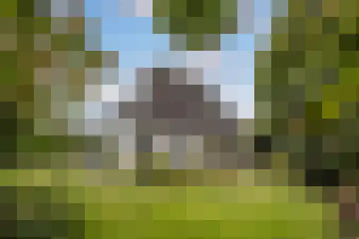 Begijnhove 7 Leusden thumbnail 28