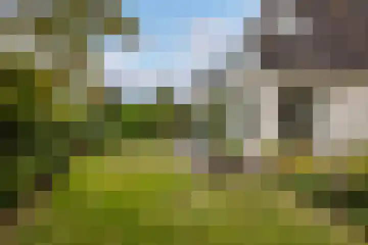 Begijnhove 7 Leusden thumbnail 29