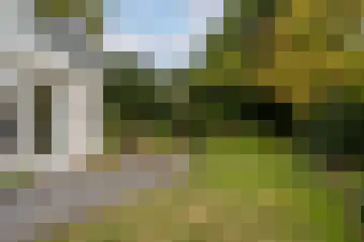 Begijnhove 7 Leusden thumbnail 30