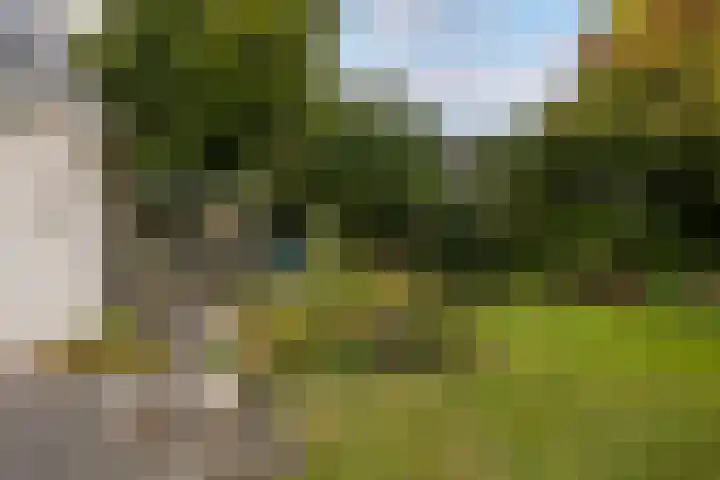 Begijnhove 7 Leusden thumbnail 31